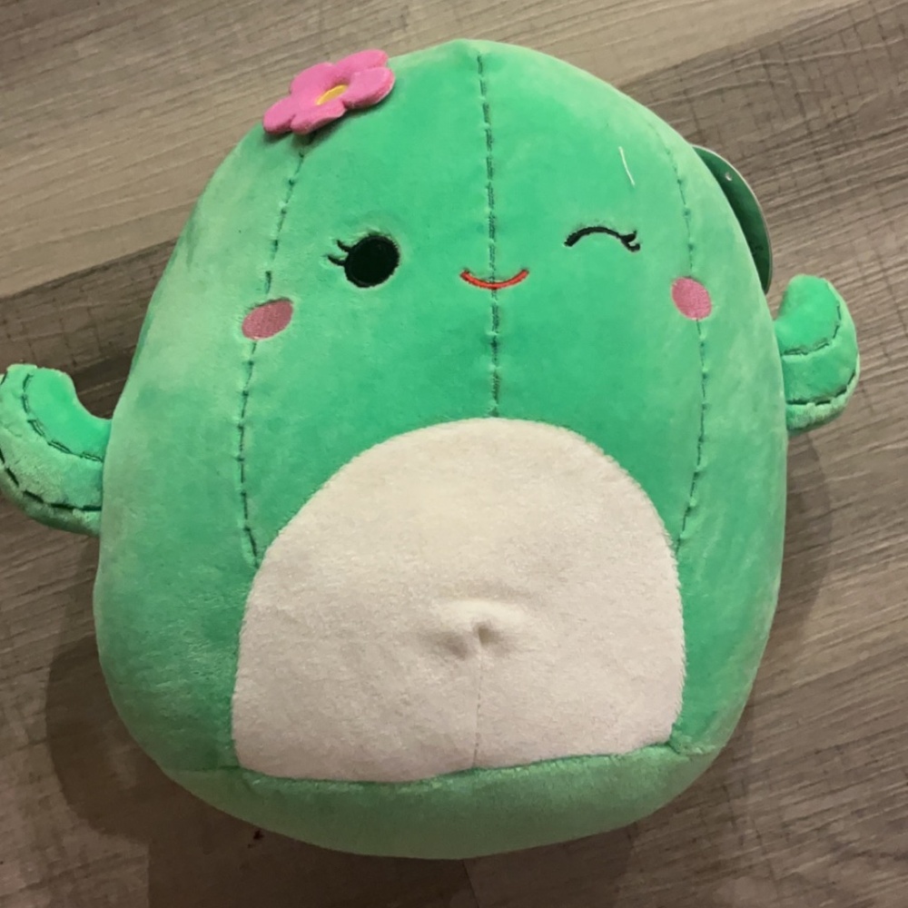 8” Maritza Cactus Squishmallow